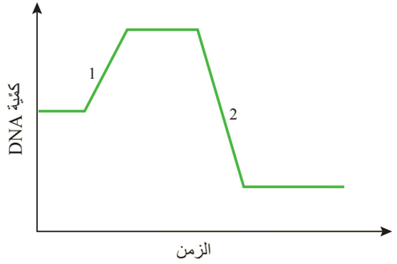 كمية DNA كمية DNA