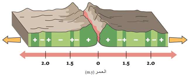الأشرطة المغناطيسية المتعاقب الأشرطة المغناطيسية المتعاقب