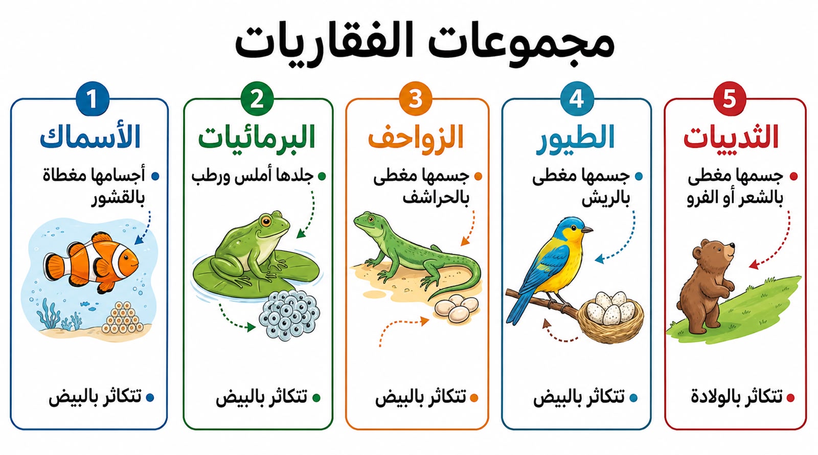 مجموعات الفقاريات مجموعات الفقاريات