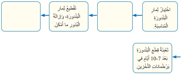 خطوات تمليح البندورة
