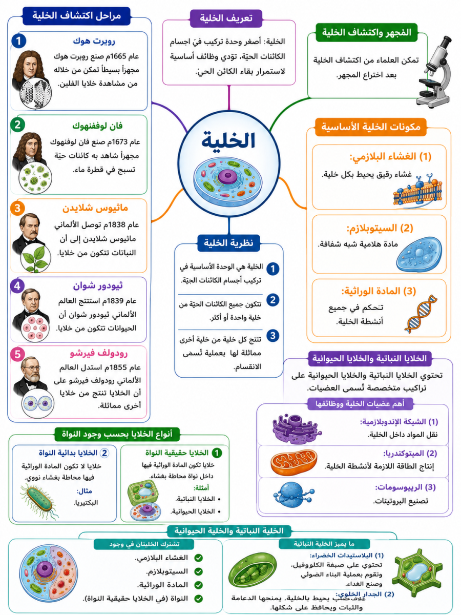 الخلية