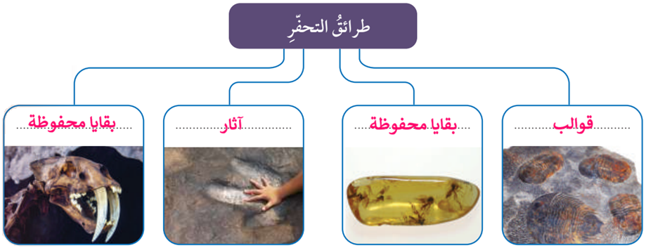 طرائق التحفر طرائق التحفر